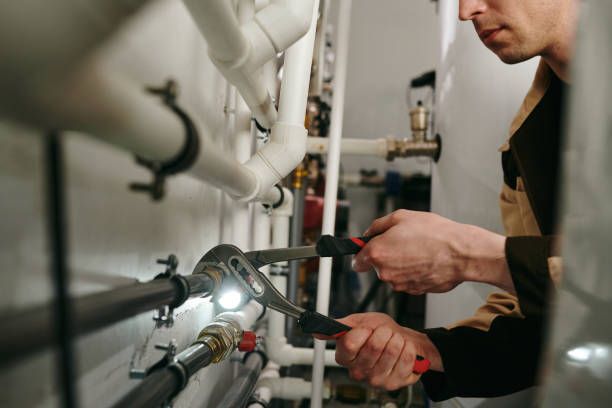 Best Commercial Plumbing Services  in Lo, HI