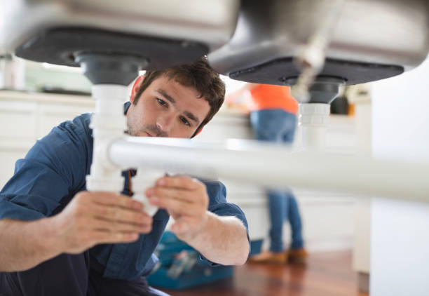 Best Plumbing Services Near Me  in Lo, HI