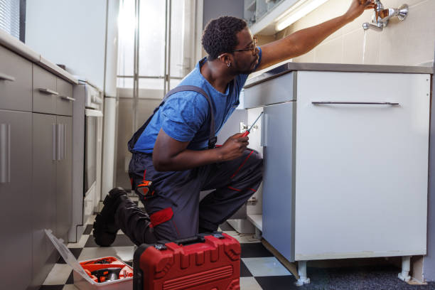 Best Shower Repair Services  in Lo, HI